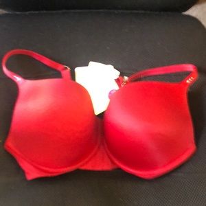 34 DD bra